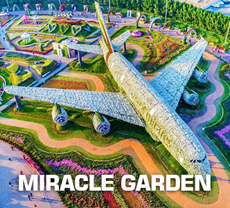 miracle garden-pic